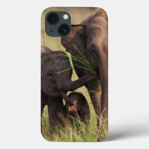 Etui iPhone 13 Famille indienne d'éléphant asiatique dans la