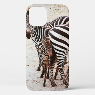 Case-Mate iPhone CASE FAMILLE ZEBRA