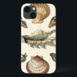 iPhone 13 Coque Fancy Shell Beach<br><div class="desc">George Wolfgang Knorr is known for the delicate detail and precision of his illustrations of shells and starfish. His drawings were influenced by his own interest in science,  a popular subject matter of his era.</div>