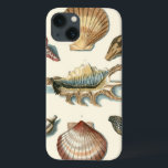 iPhone 13 Coque Fancy Shell Beach<br><div class="desc">George Wolfgang Knorr is known for the delicate detail and precision of his illustrations of shells and starfish. His drawings were influenced by his own interest in science,  a popular subject matter of his era.</div>