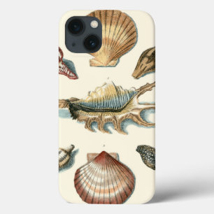 Etui iPhone Case-Mate Fancy Shell Beach