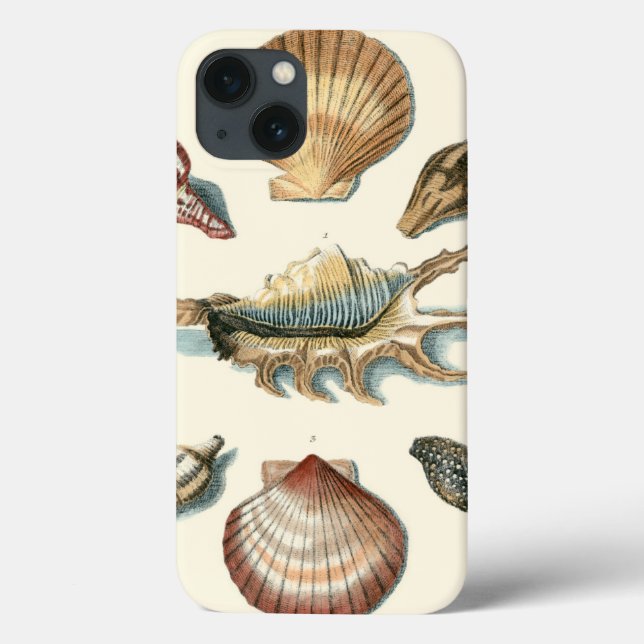 Coques Case-Mate iPhone Fancy Shell Beach (Verso)