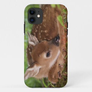Coque iPhone 11 Faon de Cerf à queue blanche âgé de deux jours, Ke