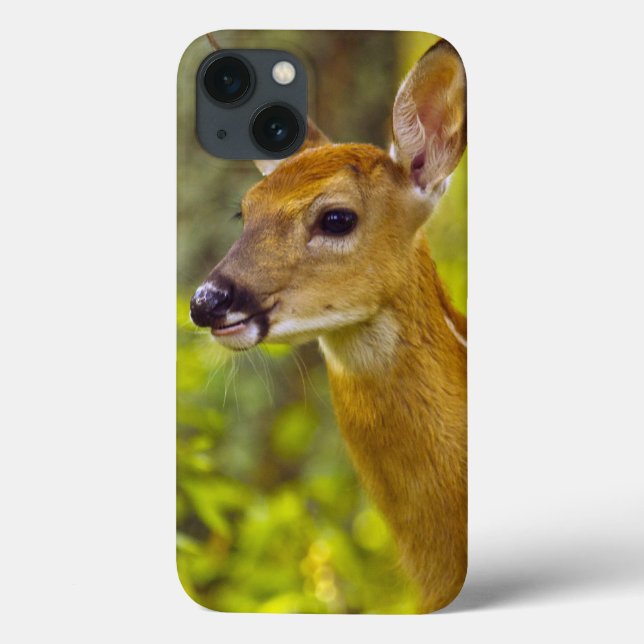 Coques Case-Mate iPhone Faon de cerf de Virginie en poisson à chair (Verso)