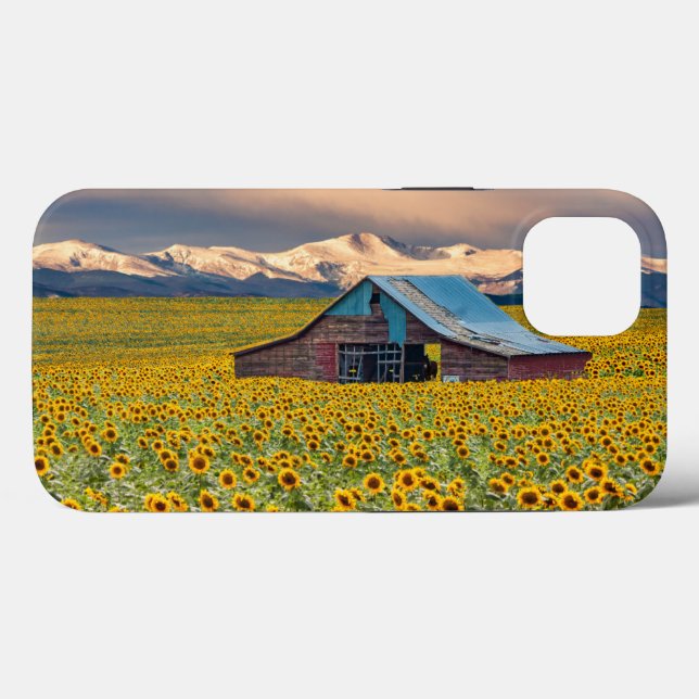 Coques Case-Mate iPhone Farms | Sunflower Field (Verso (horizontal))