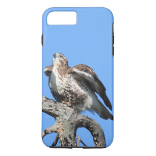 Case-Mate iPhone Case Faucon de queue rousse juvénile