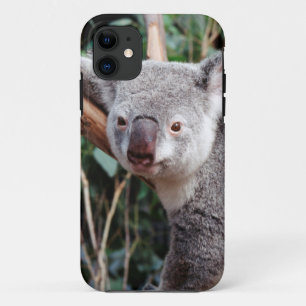 Coques Pour iPhone Featherdale Wildlife Park, Koala Bears