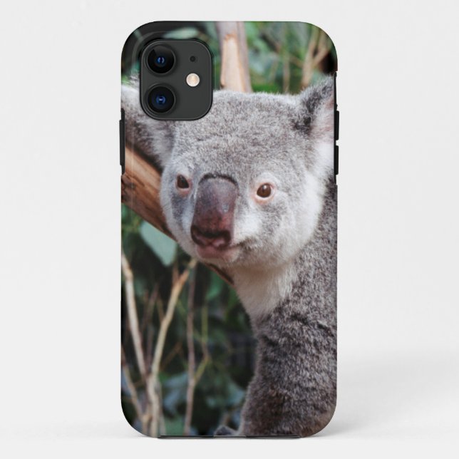 Coques Case-Mate iPhone Featherdale Wildlife Park, Koala Bears (Dos)