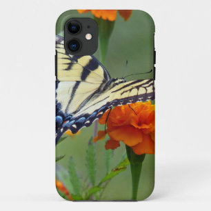 Coque Case-Mate Pour iPhone Femelle jaune Tigre de l'Est Swallowtail