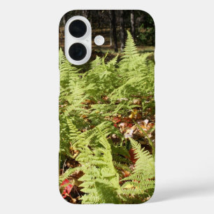 Coque Pour iPhone 16 Fermes d'automne