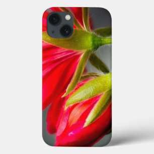 Coque Case-Mate iPhone Fermeture de la vinification du géranium à parti