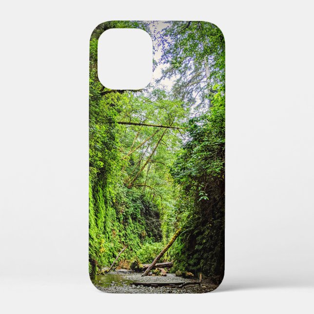 Coques Case-Mate iPhone Fern Canyon Green Walls dans le parc national Redw (Verso)