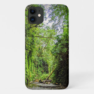 Case-Mate iPhone Case Fern Canyon Green Walls dans le parc national Redw