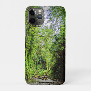 Case-Mate iPhone Case Fern Canyon Green Walls dans le parc national Redw