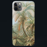 Case-Mate iPhone Case Ferns, Filicinae Laubfarne par Ernst Haeckel<br><div class="desc">Ferns,  Filicinae Laubfarne par Ernst Haeckel</div>