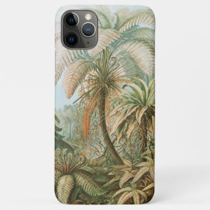 Case-Mate iPhone Case Ferns, Filicinae Laubfarne par Ernst Haeckel