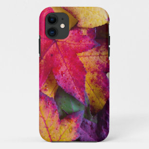 Etui iPhone Case-Mate Feuille d'automne #2