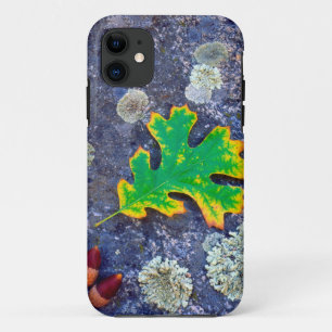 Coques Pour iPhone Feuille de chêne et glands sur une roche couverte