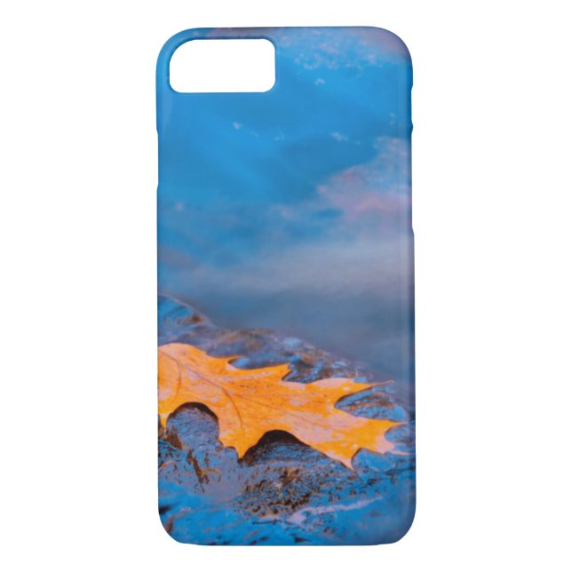 Coques Case-Mate iPhone Feuille de chêne sur roche dans la rivière Rosseau (Dos)