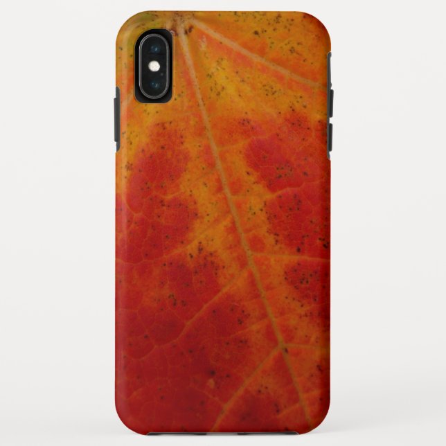 Coques Case-Mate iPhone Feuille de Érable Rouge Photographie de Nature Abs (Dos)