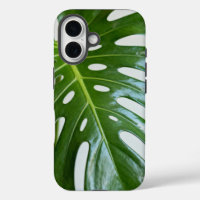 Feuille de Monstera verte luxuriante