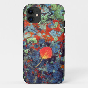 Coque Case-Mate Pour iPhone Feuille de tremble sur une roche couverte de liche