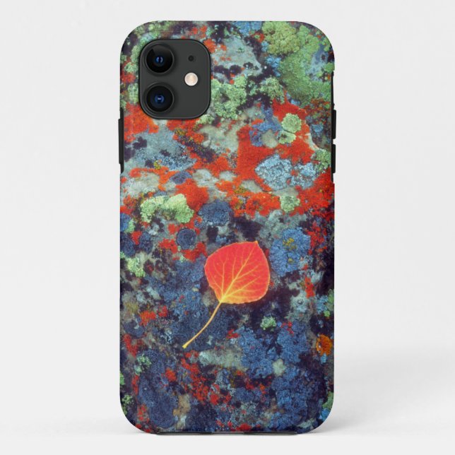Coques Case-Mate iPhone Feuille de tremble sur une roche couverte de liche (Dos)