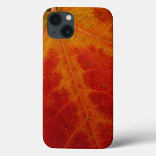 Case-Mate iPhone Case Feuille d'érable rouge Abstraite Automne Photograp