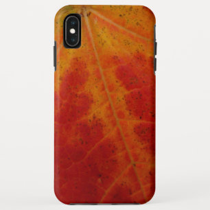 Case-Mate iPhone Case Feuille d'érable rouge Abstraite Automne Photograp