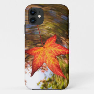 Coque iPhone 11 Feuille tombante d'un arbre en automne