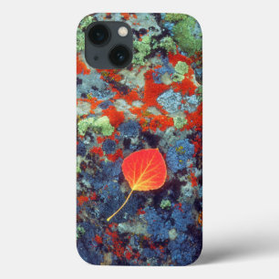 Coque Case-Mate iPhone Feuilles d'Aspen sur un rocher recouvert de lichen