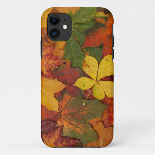 Coques Pour iPhone Feuilles d'automne