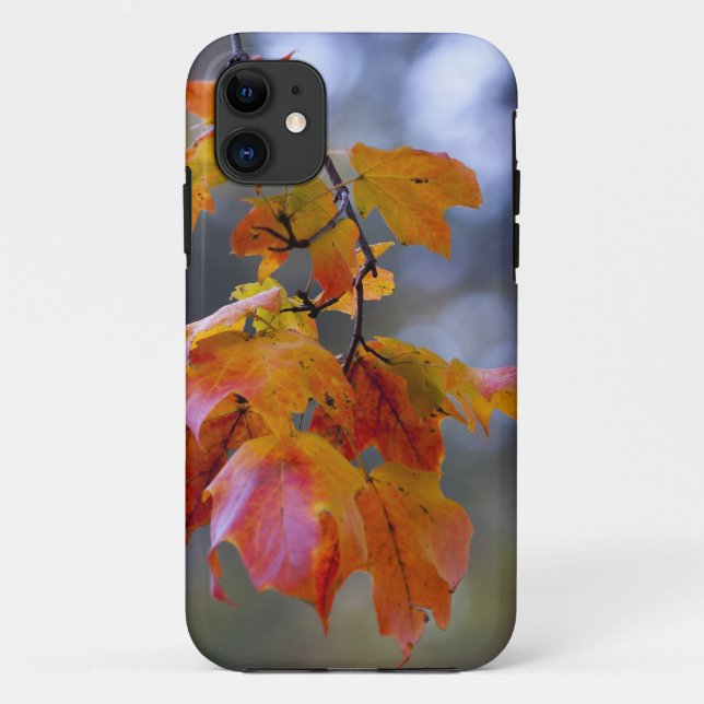 Coques Case-Mate iPhone Feuilles d'automne (Dos)