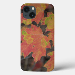 Etui iPhone Case-Mate Feuilles d'automne