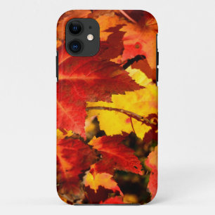 Coque Case-Mate iPhone Feuilles d'automne colorées, feuille d'érable doré