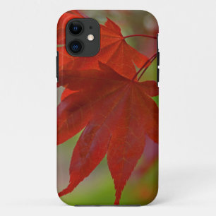 Coque Case-Mate iPhone Feuilles de l'arbre rouge
