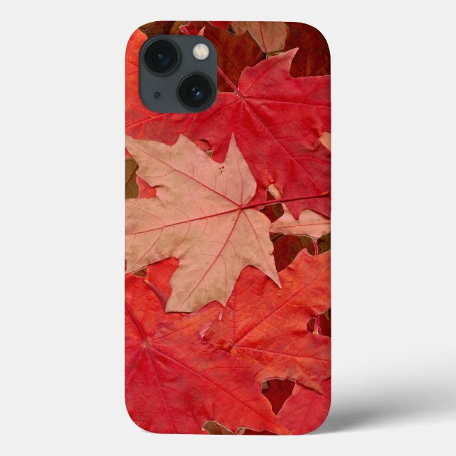 Coques Case-Mate iPhone Feuilles Red Maple (Verso)