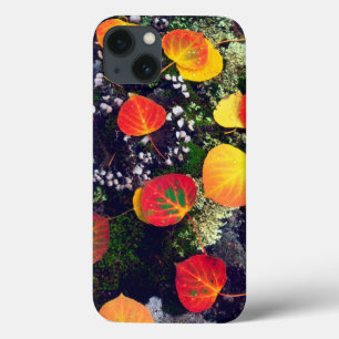 Etui iPhone 13 Feuilles sur un rocher couvert de lichen, Rocheuse