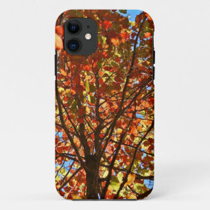 Coque iPhone 11 Feux d'artifice de feuilles d'automne