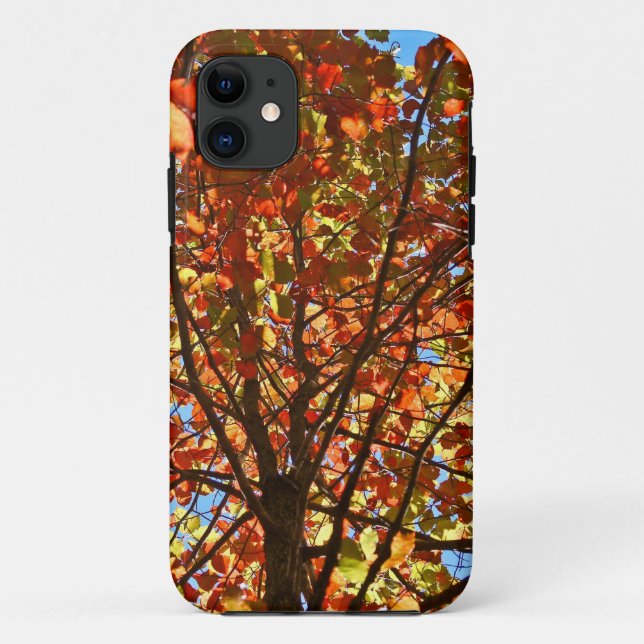 Coques Case-Mate iPhone Feux d'artifice de feuilles d'automne (Dos)