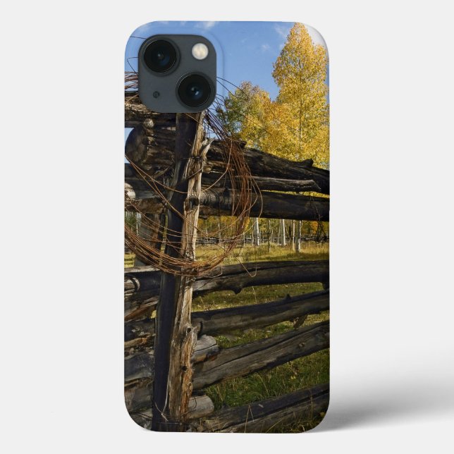 Coques Case-Mate iPhone Fil Barbe (Verso)