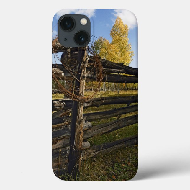 Coques Case-Mate iPhone Fil Barbe (Verso)