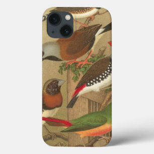 iPhone 13 Case Five Colorful Pet Birds Perched on a Branch