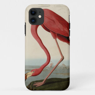 Coque Case-Mate Pour iPhone Flamant rose américain