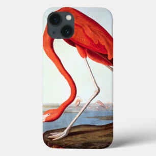 iPhone 13 Coque Flamant rose américain