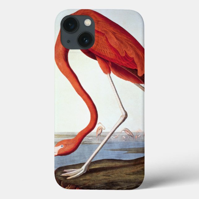Coques Case-Mate iPhone Flamant rose américain (Verso)