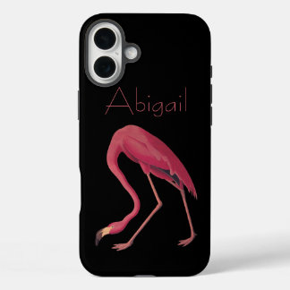 Coque Pour iPhone 16 Plus Flamant rose américain Vintage Audubon Birds of Am