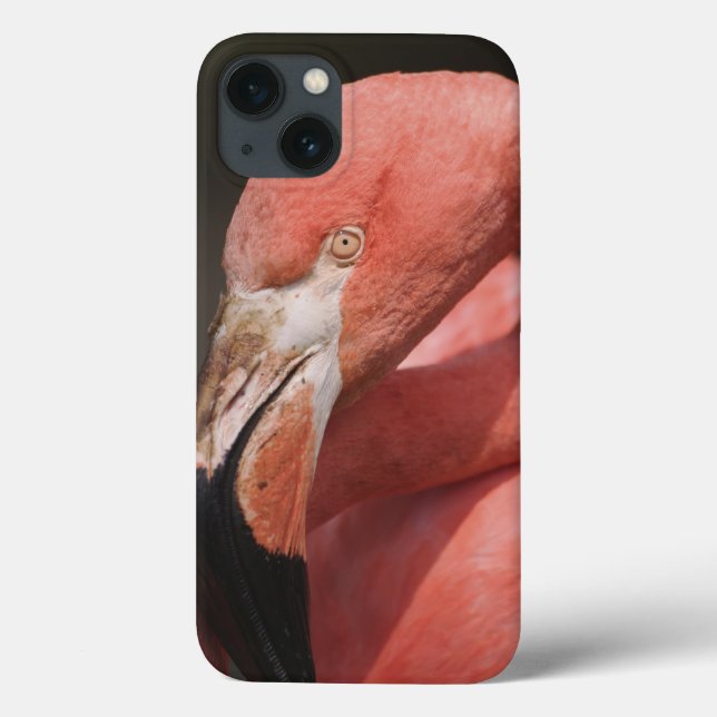 Coques Case-Mate iPhone Flamant rose chilien, chilensis de Phoenicopterus (Verso)