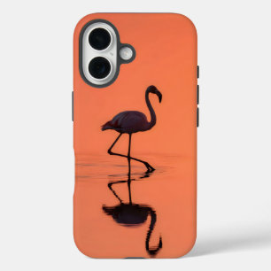 Coque Pour iPhone 16 Flamant rose longues jambes jettent une ombre dans