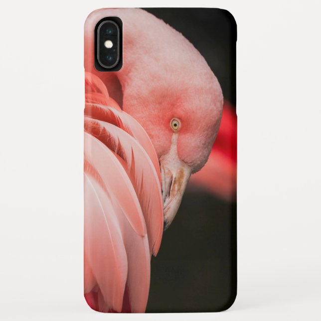 Coques Case-Mate iPhone Flamant rose rose (Dos)